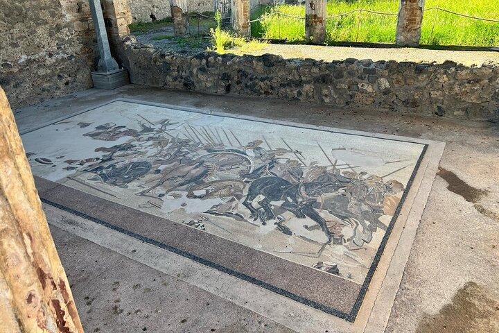 Pompeii Ruins Guided Tour from Ravello