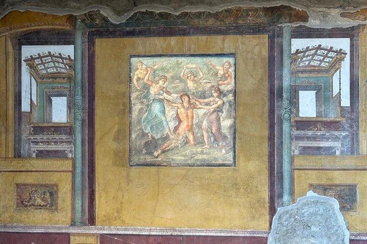 Pompeii Ruins Guided Tour from Ravello