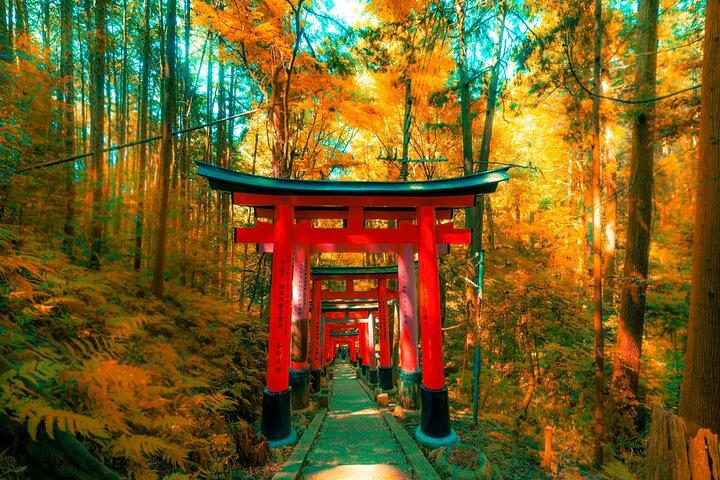 Excursion privée d'une journée personnalisable à Kyoto avec Guide et véhicule