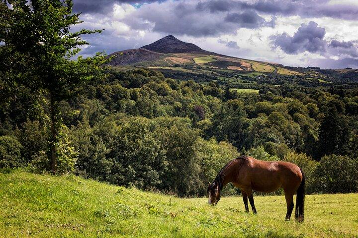 Cose da fare: Glendalough & Powerscourt Distillery