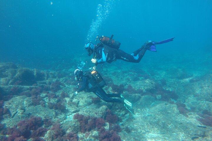 Bautismo de Buceo en el Mar en Sesimbra
