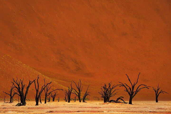 3 dias Sossusvlei e Namib Desert Adventure