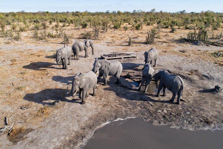 ウィントフック発エトーシャ国立公園サファリ3日間
