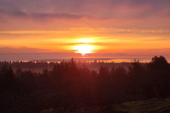 5 - heure NOUVEAU Malahat Skywalk et Beacon Hill Park Tour (1 - 9pax)