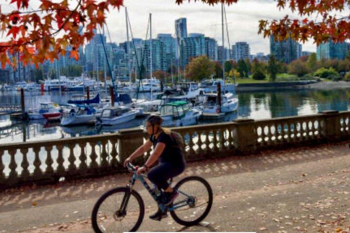 Noleggio E-bike di 4 ore da una comoda posizione su Seawall
