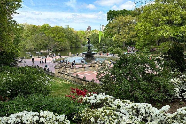 Central Park Private Pedicab Führungen