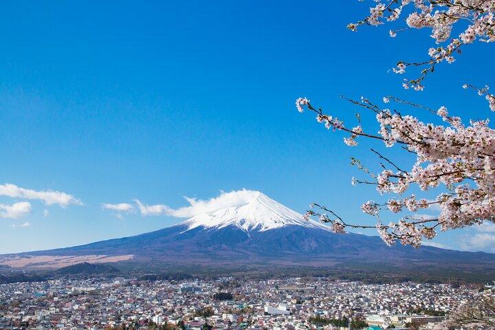 富士山5合目と御殿場アウトレット（御殿場アウトレットで解散）
