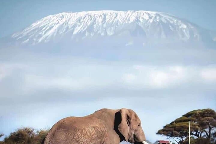 Overnight Safari to Amboseli National Park