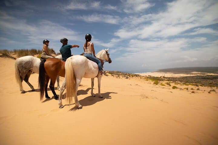 Agadir Camel or Horse Ride – Scenic Desert Adventure