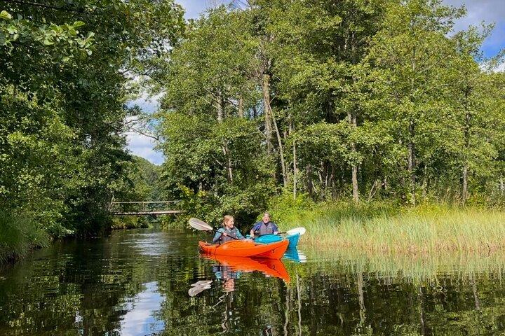 Tour in kayak del fiume Kristiansand - Natura e avventura locali