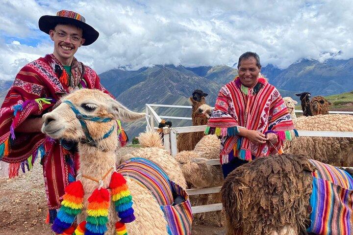 Llama & Alpaka Erfahrung (Cusco Region): ANDENFARBEN