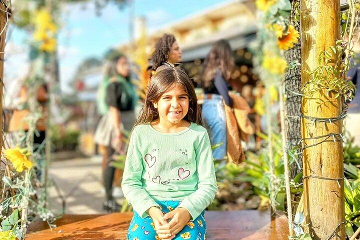 Tour privato di Campos do Jordão-SP