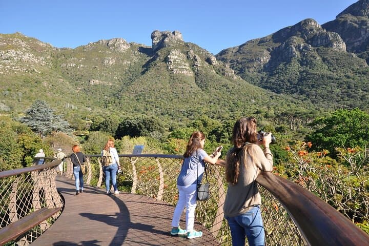Table Mountain, Kirstenbosch & Constantia Full Day Private Tour