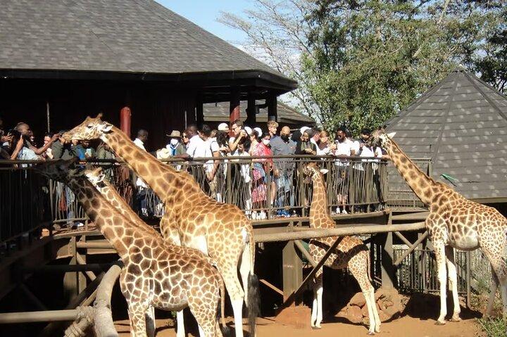 Giraffe Center Nairobi National Park avec restaurant Carnivore