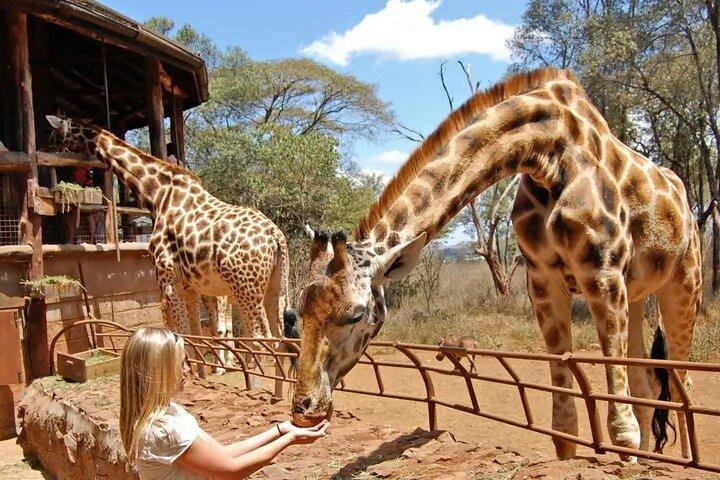 Parque Nacional de Nairobi con Restaurante Carnívoro