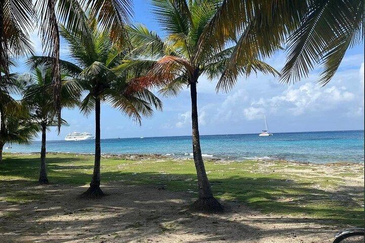 Private Tour in Cozumel by Jeep with Beach Club and Lunch