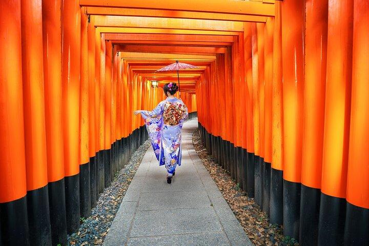 Best of Kyoto and Nara Highlights Day Tour from Osaka (7~9 spots)