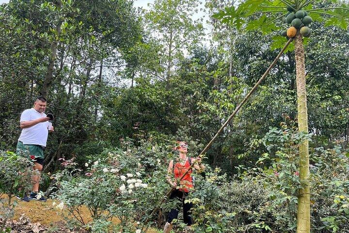 Rejser fra Hanoi til Duong Lam Ancient Village Jeep tur, historie, dagligliv