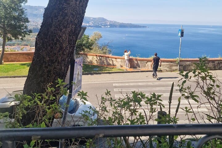 Private Tour of the Amalfi Coast and Pompeii