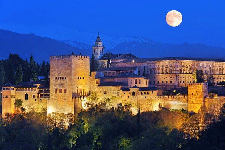 Full Alhambra Tour with Official Guide