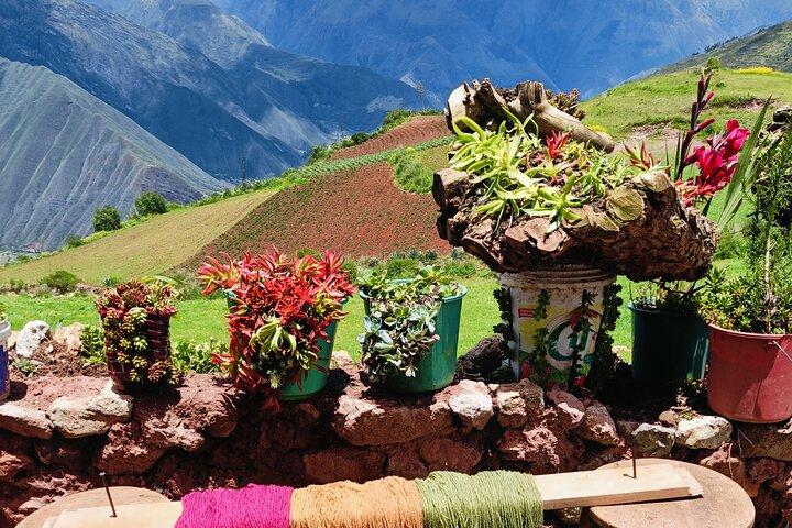 Expérience des rituels andins (région de Cusco): COULEURS ANDINES