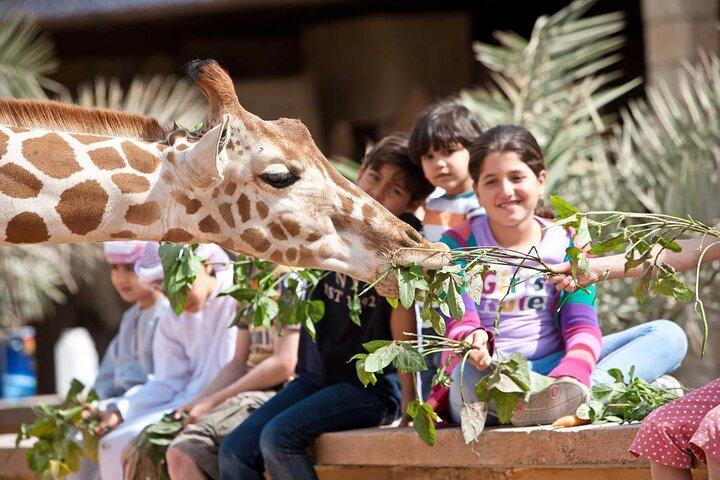 エミレーツ・パーク動物園アブダビ: ワイルドライフアドベンチャーチケット