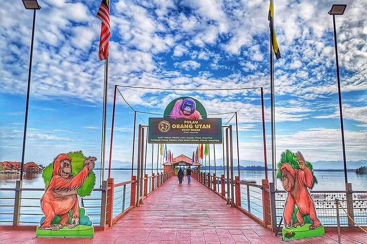 Orang Utan (Orang Utan) Insel Verantwortungsvoll erleben
