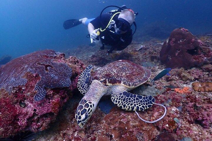 3 - Dive Discover Scuba Diving Tour in Phuket für Anfänger