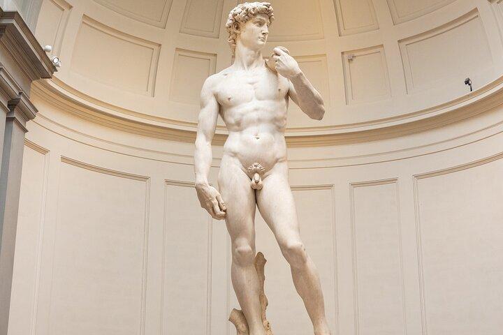 Accademia Gallery Privérondleiding & Fast Track Entry