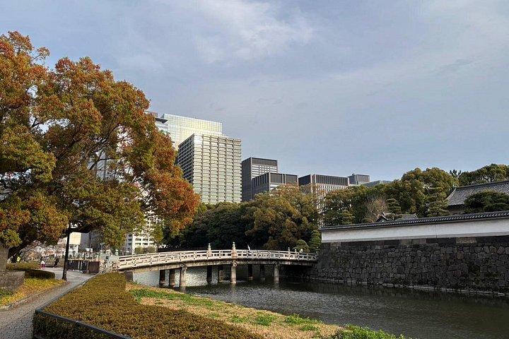 東京ウォーキング＆公共交通機関シティハイライトツアー