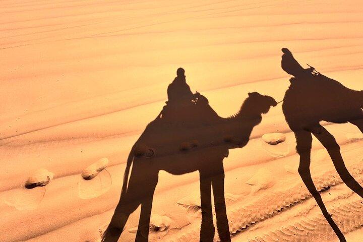 Delt 3-dages gruppe tur fra Fez til Merzouga ørkenen, Camel Ride
