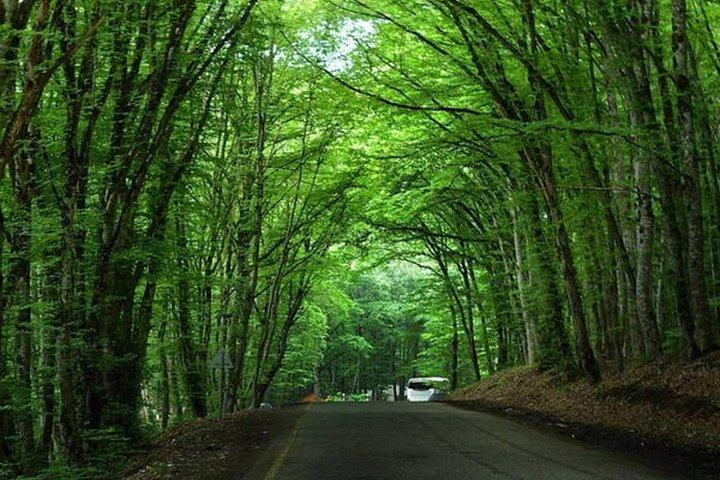 Candy mountains and Khinalig Full day tour