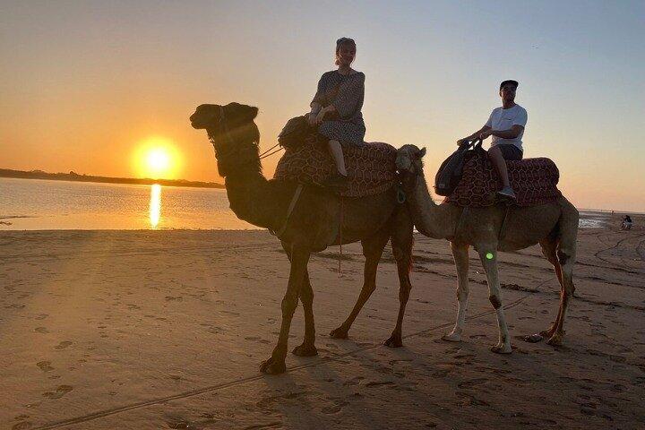 Agadir Camel Ride with BBQ and Couscous Dinner