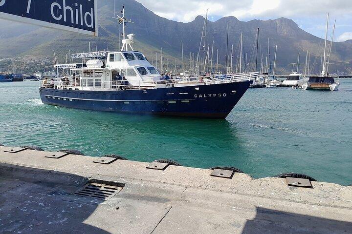 Tour compartido de aventuras en el Cabo de Buena Esperanza