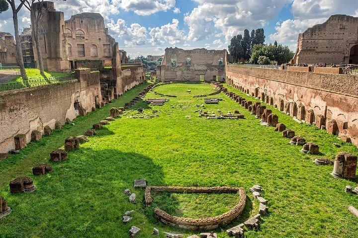 Tour guidato del Colosseo, del Foro Romano e del Palatino