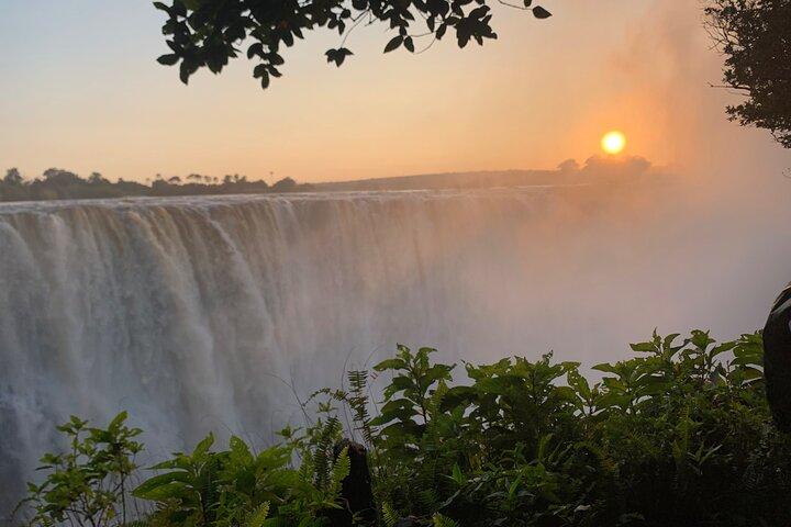 Anmeldelser af The Falls Rainforest