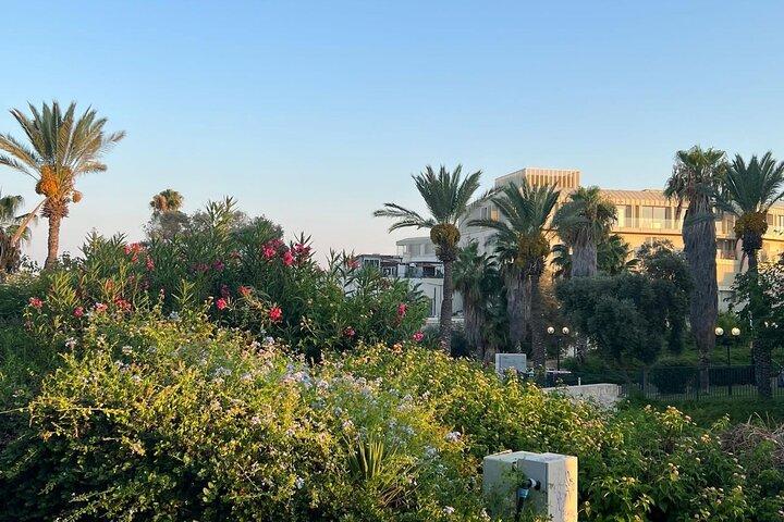 Tel Aviv: Highlights der Central Tel Aviv Walking Tour