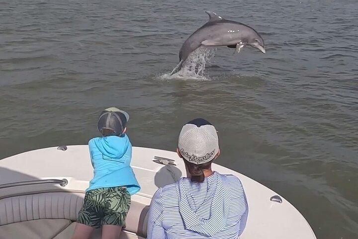 90-minuters privat delfintur på Hilton Head Island