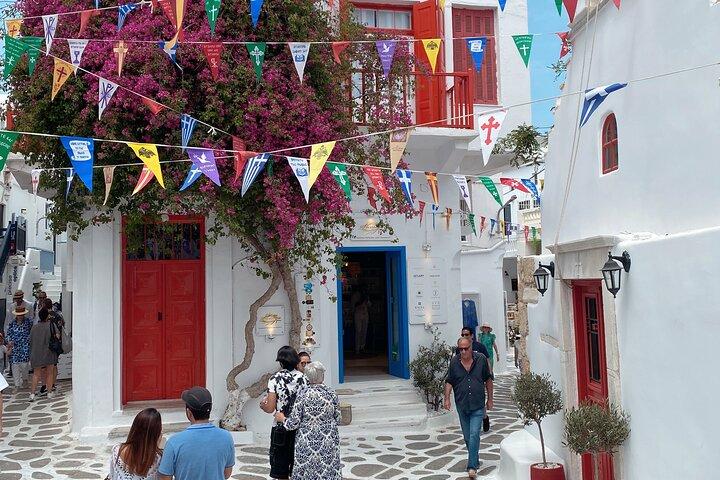 Privat rundtur i Mykonos stad och kustnära underverk