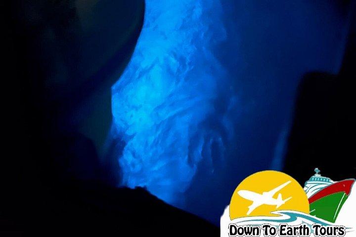 Luminous Lagoon After Dark Tour