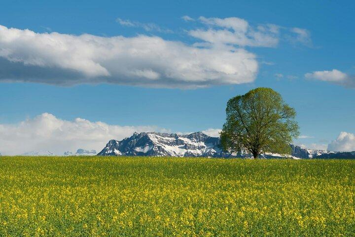 Dagtrip naar Titlis en Luzern vanuit Zürich met gratis fotoshoot