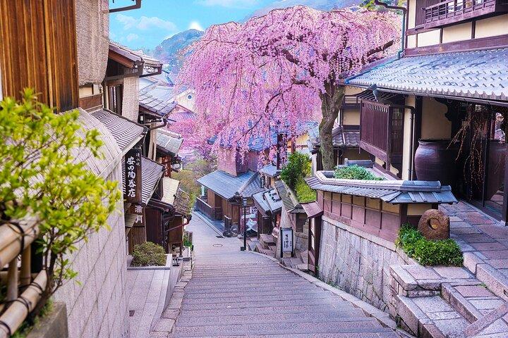 大阪/京都： 金閣寺、清水寺、三年坂＆宇治