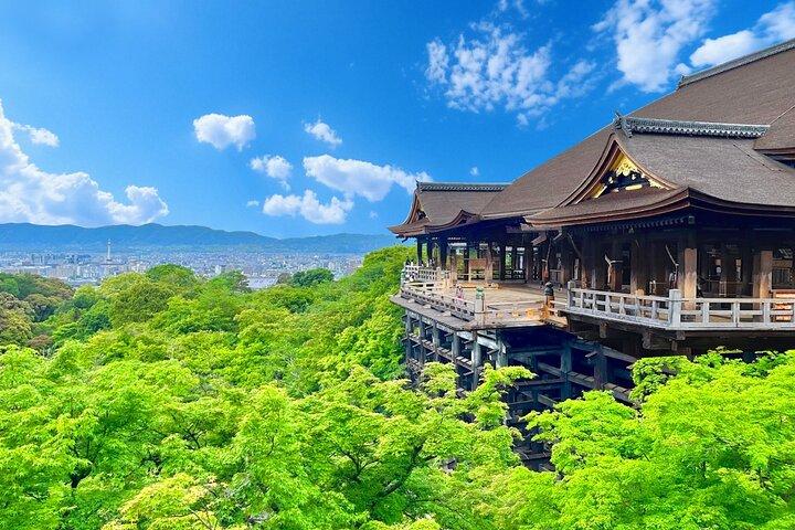 大阪/京都： 金閣寺、清水寺、三年坂＆宇治