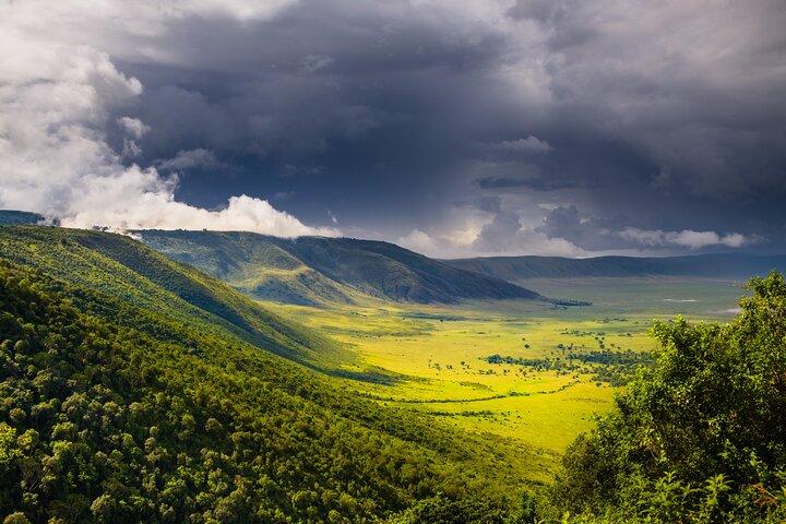 5 días de aventura privada en safari en Tanzania