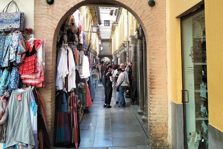 モトリル港からアルバイシンとグラナダ中心部を訪問