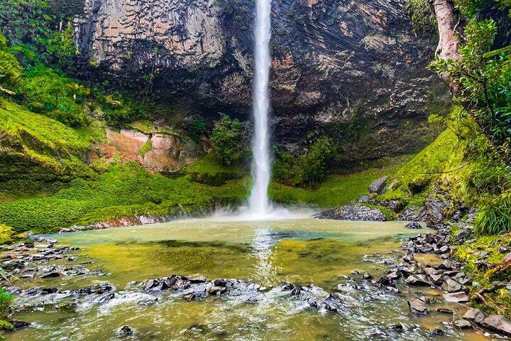 Raglan Neuseeland Abenteuertour ab Auckland