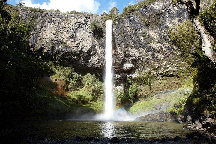 Raglan Neuseeland Abenteuertour ab Auckland