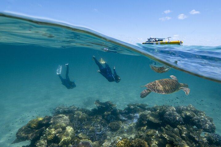 Ocean Safari Great Barrier Reef Experience in Cape Tribulation
