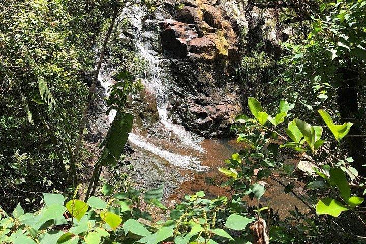 Exclusive South West: Seven Colored Earth & Chamarel Waterfall