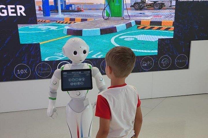 フレーム、フューチャー ミュージアム、ブルー モスクを巡るドバイ市内半日ツアー